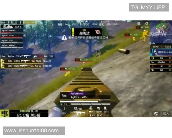 S15LOL比赛与和平精英中RNG团队协作的深度分析与探讨实时数据