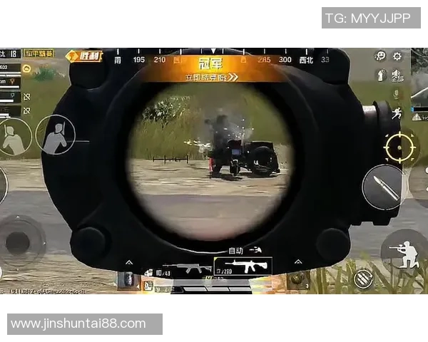 和平精英焦点WE团队的实力分析与未来发展探讨实时数据